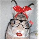 สมาชิกหมายเลข 3355639