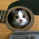 สมาชิกหมายเลข 3355694