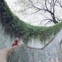 ปอนป๊าด