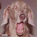 สมาชิกหมายเลข 1052916