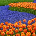 สมาชิกหมายเลข 1210651