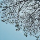 สมาชิกหมายเลข 2081828