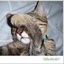 สมาชิกหมายเลข 2122864