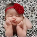 สมาชิกหมายเลข 2811881