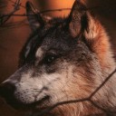 สมาชิกหมายเลข 841826