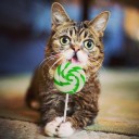 สมาชิกหมายเลข 1703641