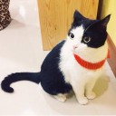 สมาชิกหมายเลข 2069691