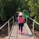 สมาชิกหมายเลข 3356554