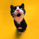 สมาชิกหมายเลข 1475405