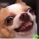 สมาชิกหมายเลข 1361965