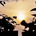 สมาชิกหมายเลข 2756671