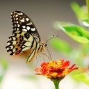 สมาชิกหมายเลข 3356941