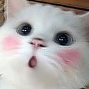 สมาชิกหมายเลข 878282