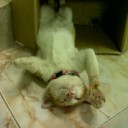 สมาชิกหมายเลข 831853