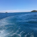 สมาชิกหมายเลข 1655655