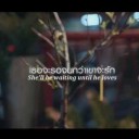 สมาชิกหมายเลข 1359737