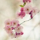 สมาชิกหมายเลข 754252