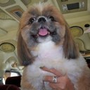 สมาชิกหมายเลข 1276934