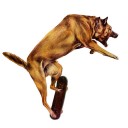 สมาชิกหมายเลข 1704701