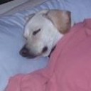 สมาชิกหมายเลข 2124364