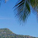 สมาชิกหมายเลข 2786102