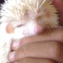 สมาชิกหมายเลข 3358213