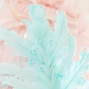 สมาชิกหมายเลข 879234