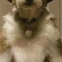 สมาชิกหมายเลข 1277246