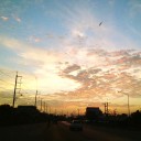 สมาชิกหมายเลข 990025