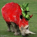 สมาชิกหมายเลข 2104955