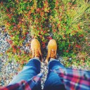 สมาชิกหมายเลข 2917737