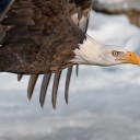 สมาชิกหมายเลข 880115