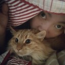 KisseKatt