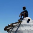 สิงโตหมีแพนด้า