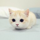 สมาชิกหมายเลข 2917866