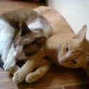 สมาชิกหมายเลข 1897473