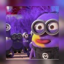 สมาชิกหมายเลข 2517953