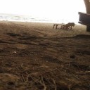 สมาชิกหมายเลข 2918366