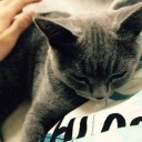 สมาชิกหมายเลข 782040