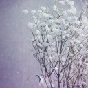 รักท้องฟ้าจัง