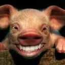 หมูตุ๊ต๊ะ