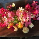 ต็อตโตะจัง