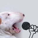 สมาชิกหมายเลข 1695915