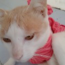 แอ๊ะแอว