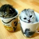 สมาชิกหมายเลข 2126578