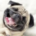 ก เอ๋ย ก เ็ป็ด