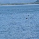 สมาชิกหมายเลข 2919889