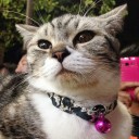 สาวเหนือจ้าว__เหนือความคาดหมาย