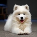 สมาชิกหมายเลข 3361321