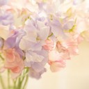 สมาชิกหมายเลข 882439